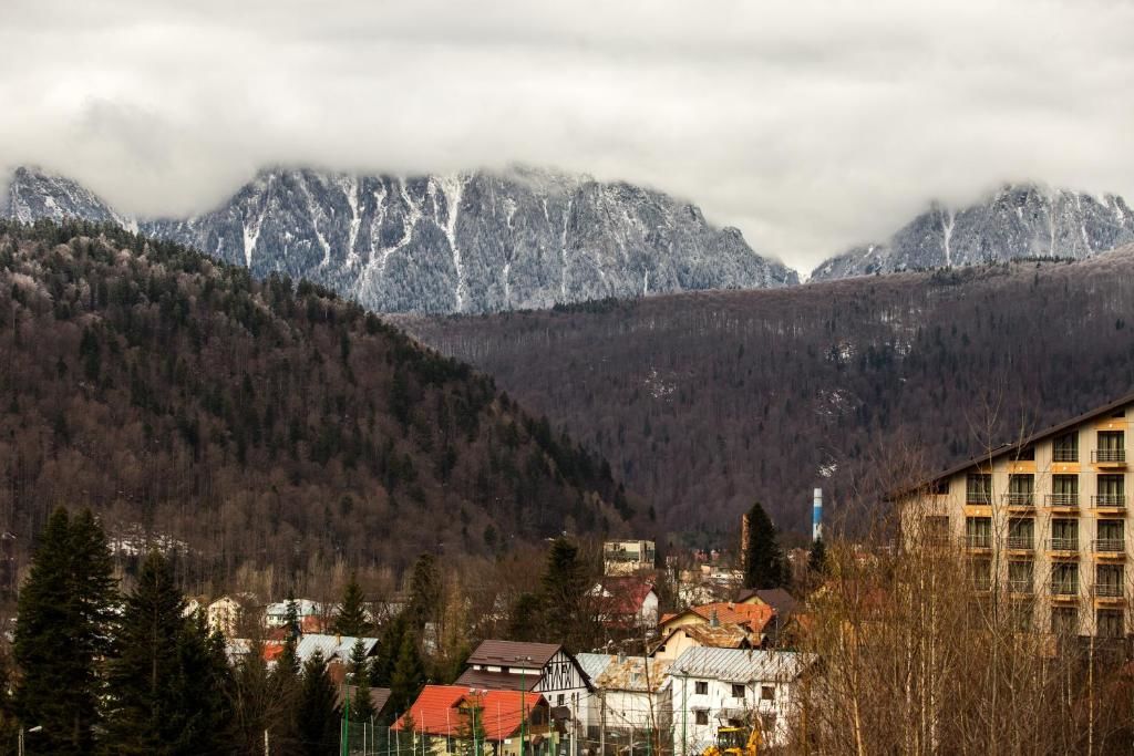 Виллы Casa Ferica Азуга-79